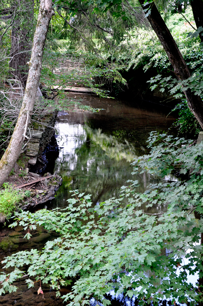 Tannery Brook
